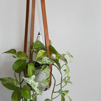 Little Leather Ghosties - Ornament