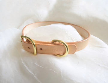 Pet Collar Workshop